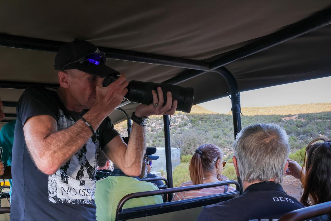 Nikon Z6ii Review for Wildlife Photography on Safari