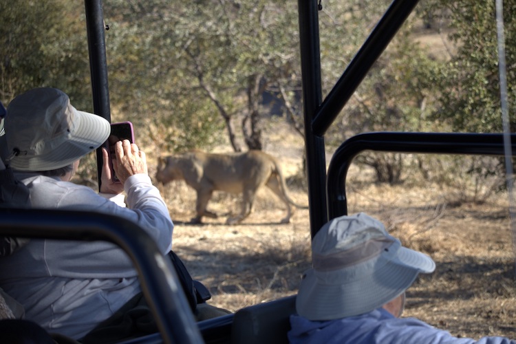 At Northern Game Lodges, it soon became clear where Canon had identified a market for its Zoom. Mobile phones are popular on these game drives, but don’t have the distance to catch the wildlife up close. Canon Powershot Zoom Wildlife Photography
