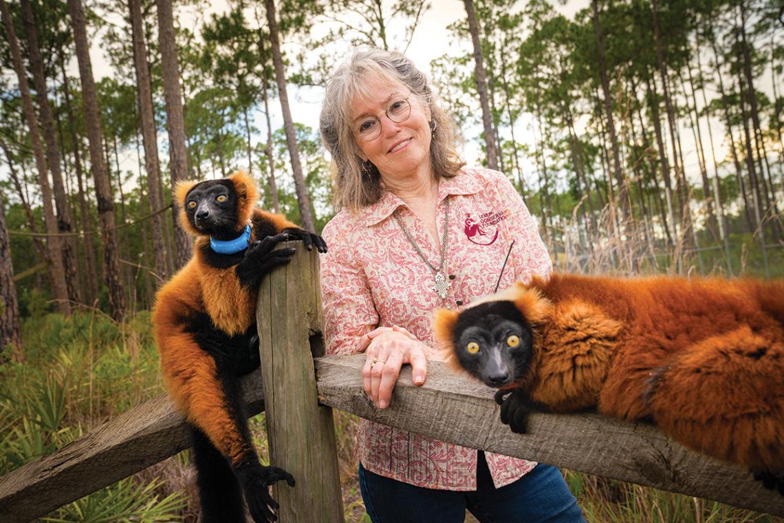 Lemurs of Madagascar Penelope Bodry-Sanders