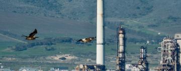 Fossil Fuel Countries Plan Massive Production Expansion While Committing to Emissions Targets