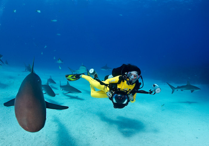 Your Donations Support Environmental Journalism