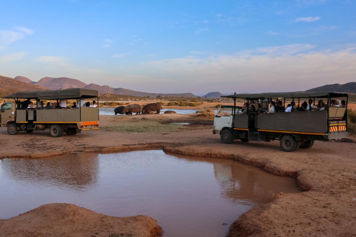Aquila Big 5 Near Cape Town
