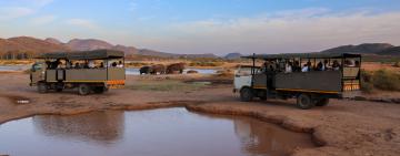 Aquila Safari: Unveiling the Wild Tapestry in Cape Town's Unexpected Oasis