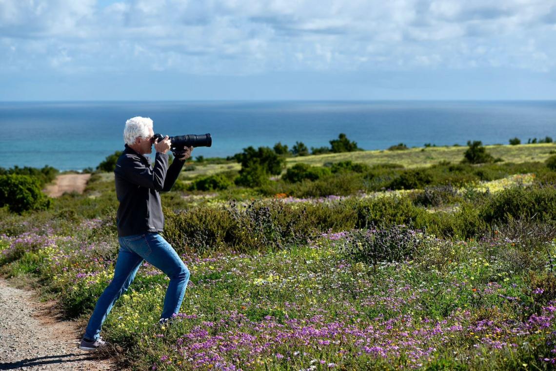 Nikon Z8 Review for Bird and Wildlife