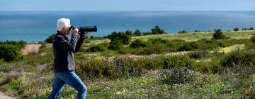 Reviewing the Nikon Z8: A Bird & Wildlife Photographer's Journey from DSLR to Mirrorless
