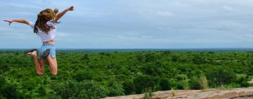 How to Plan and Execute an Unforgettable Kruger National Park Self-Drive Safari: A Comprehensive Guide