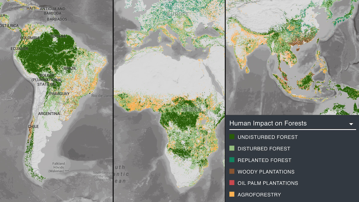 Map of Human Impact on Rainforests