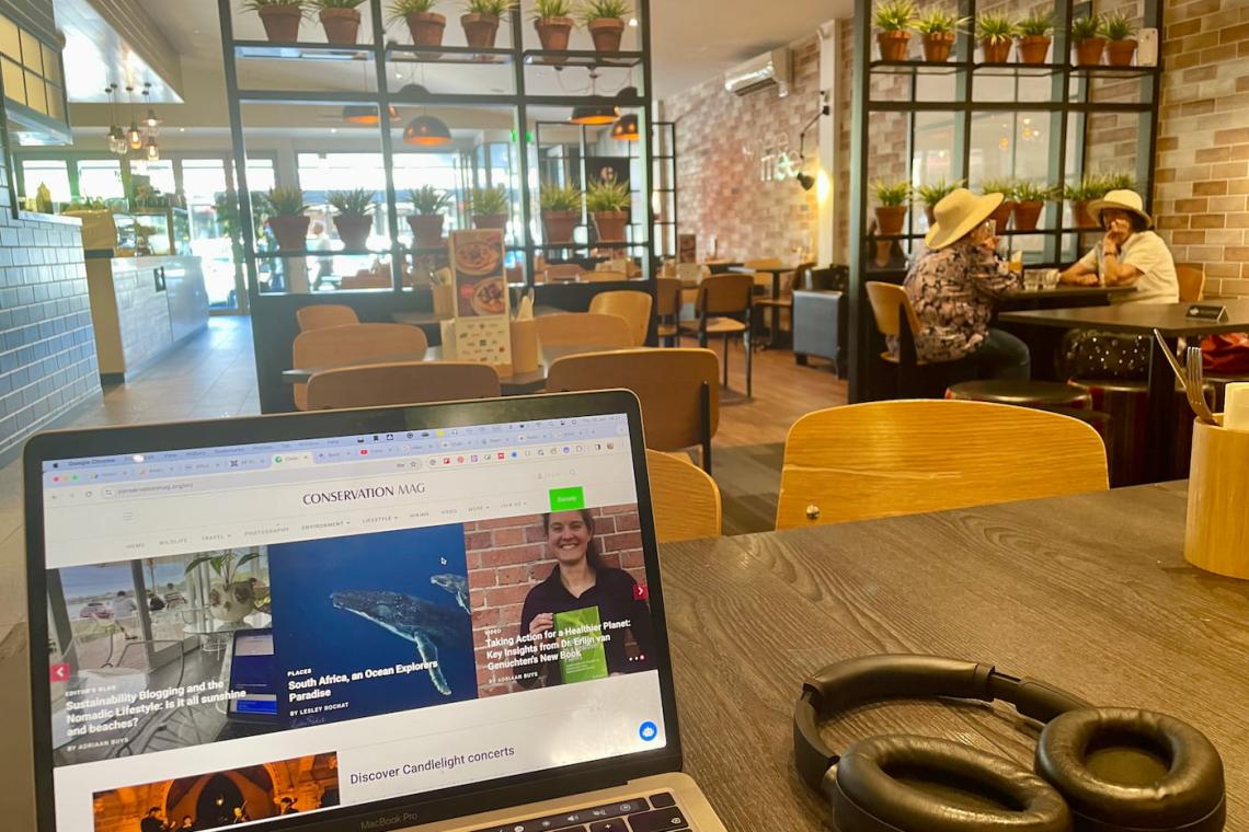blog auckland browns bay coffee shop