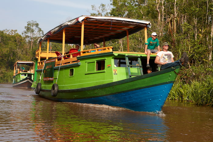 orangutan tours borneo river cruise