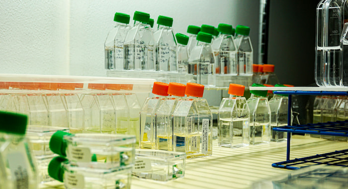 environmental science justice