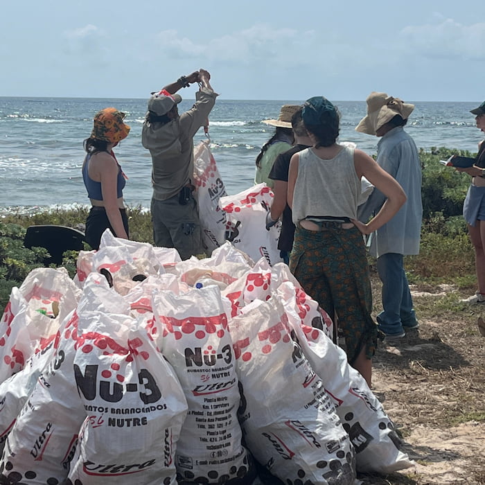 ocean plastic clean up