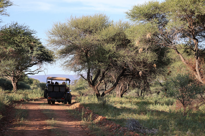 golf to game drives qwabi