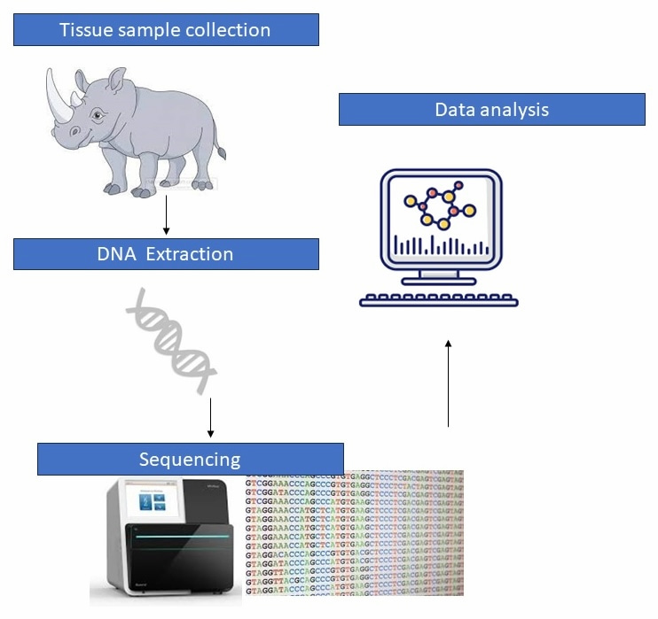 wildlife dna genomics process
