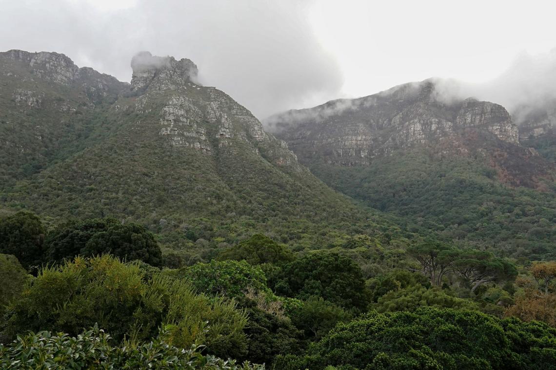 Table Mountain Kirstenbosch Gardens View