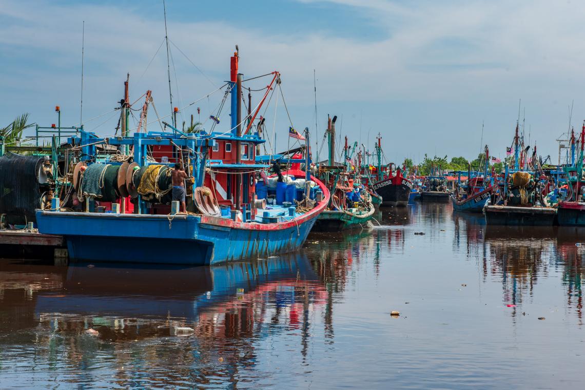 Fishing Trawler Shark Meat Sekinchan