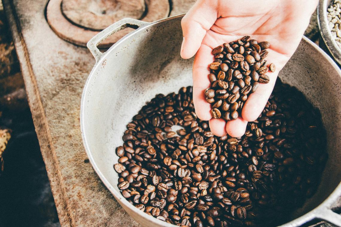 Galapagos Islands Coffee Growing