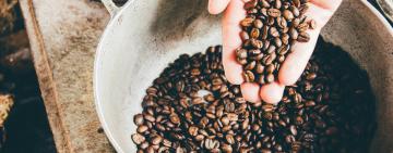 Galapagos Coffee: How Ecotourism and Conservation Blend for a Sustainable Future
