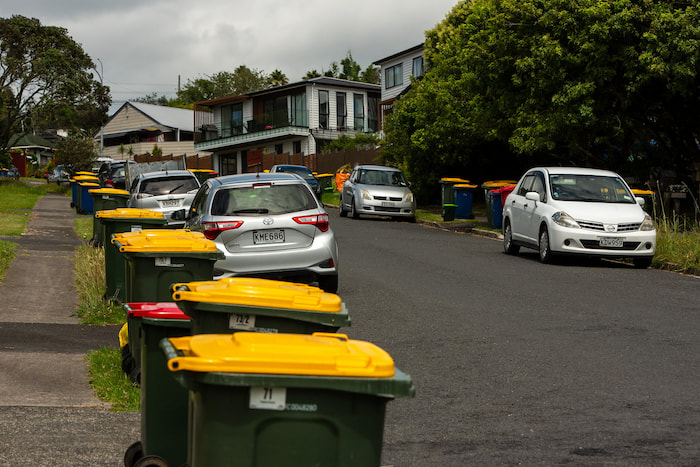 bin day in the suburbs new zealand