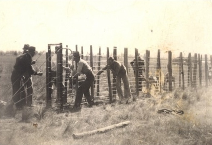 primitive game capturing kraal erected of iron poles and steel wire