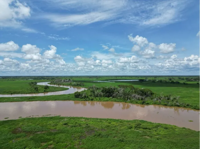 Overview of the Pantanal wetland in the beginning of the wet season