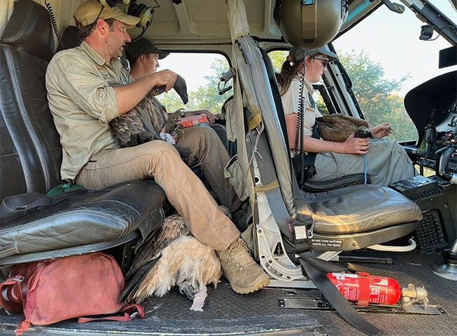 vulture rescue by helicopter South Africa