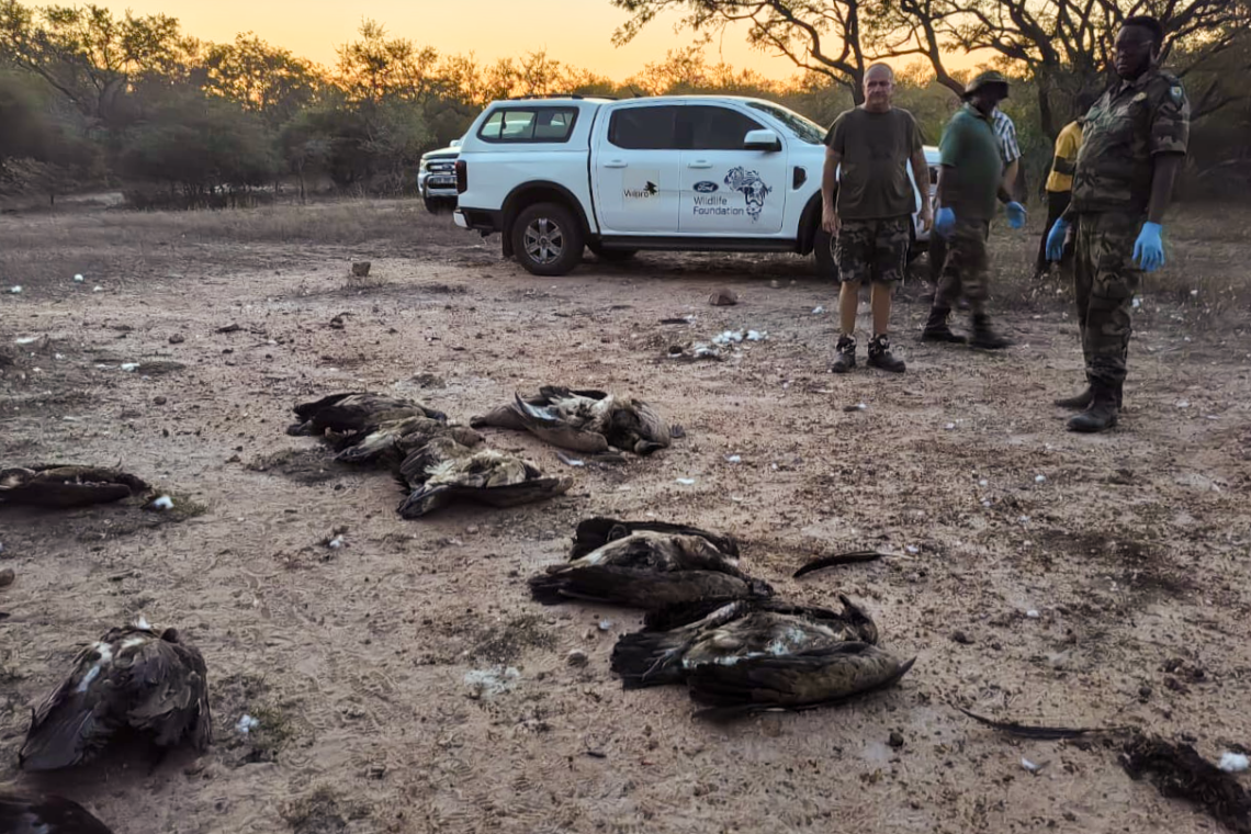 Vulture Poisonings in South Africa