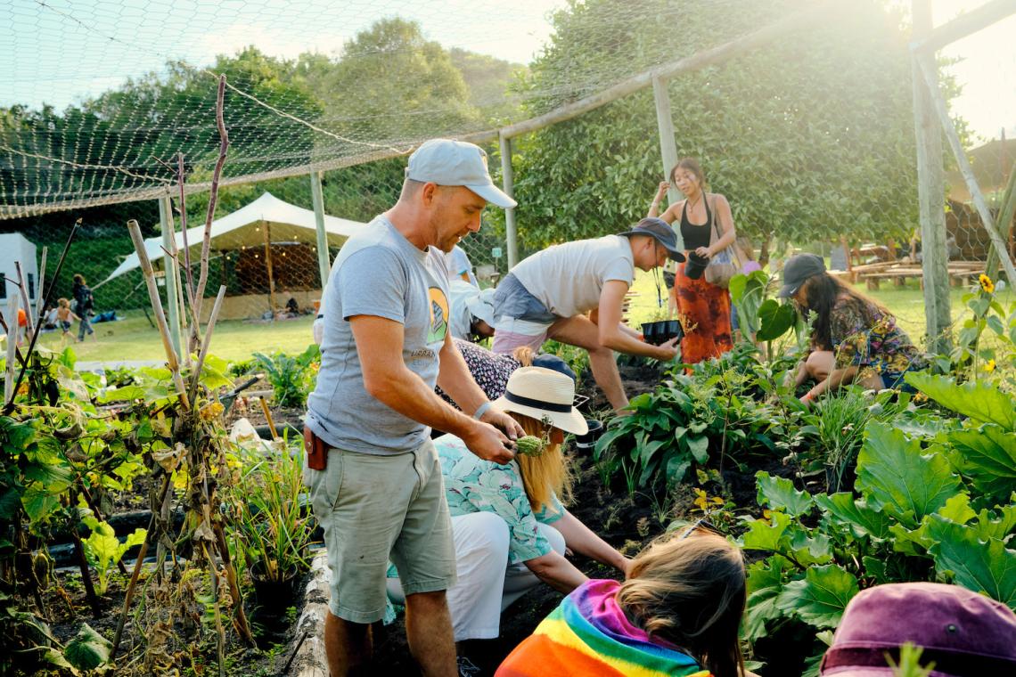 Greenpop Festival Attendees Planting Herbs