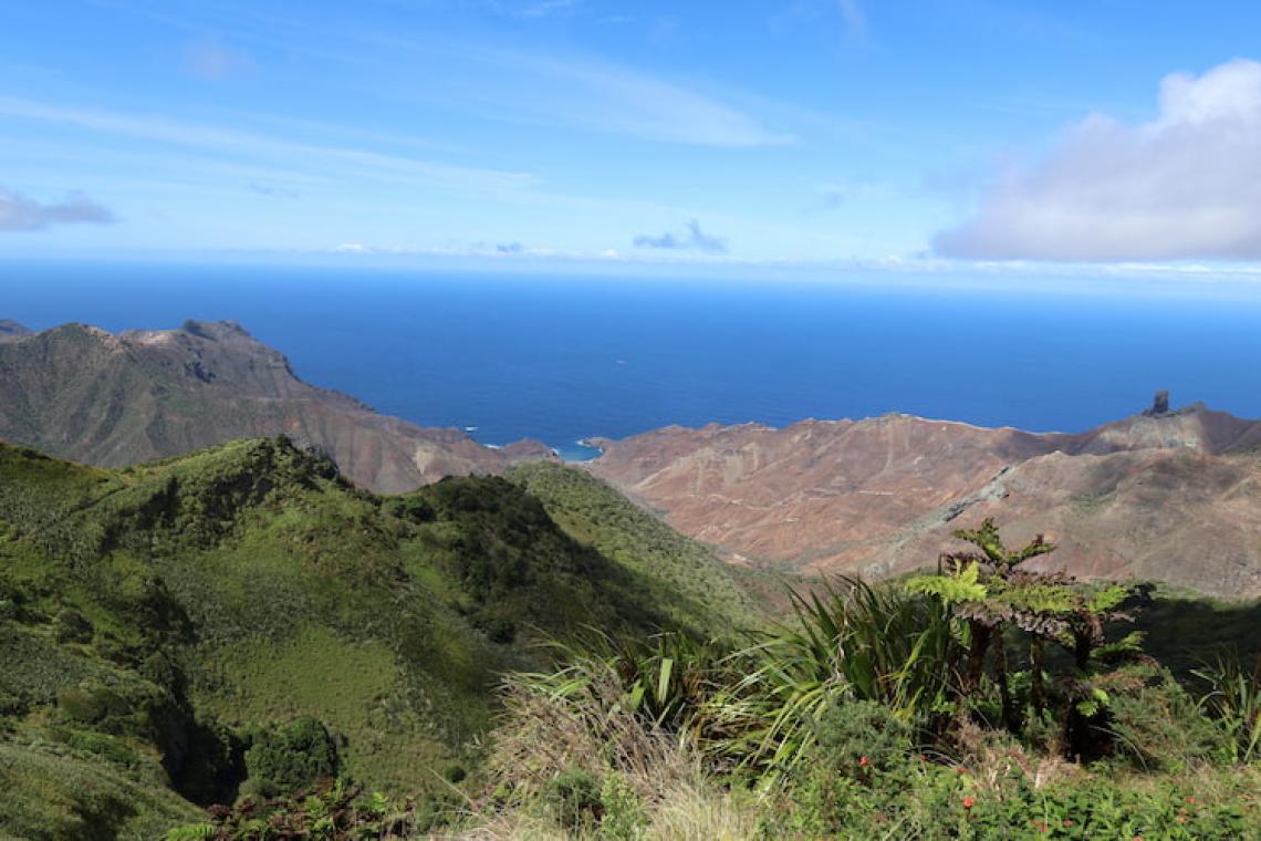 St Helena’s forests once extended to the ocean, but have been eroded by years of environmental abuse.
