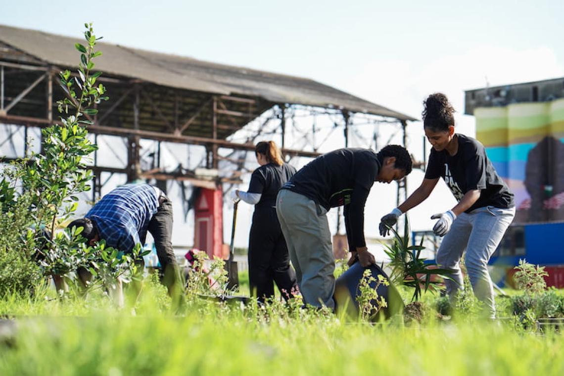 Individuals on Mandela day making a direct difference through placing plants