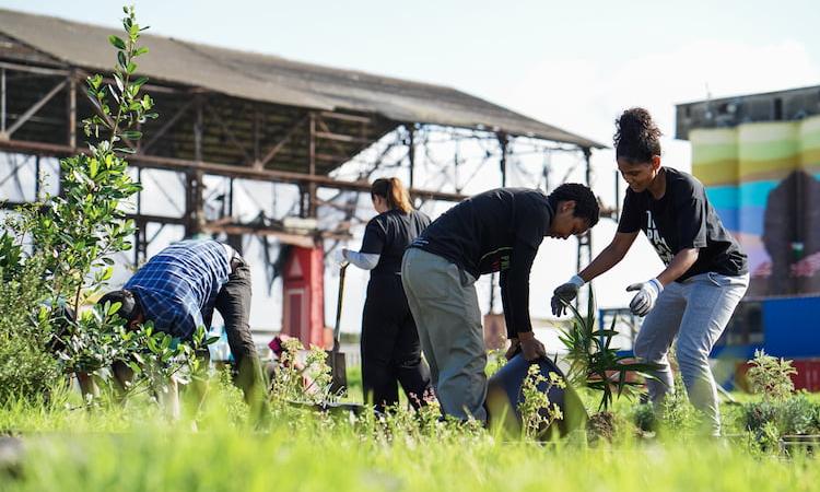 Individuals on Mandela day making a direct difference through placing plants