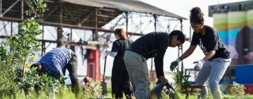  Climate and Communal Justice: Cultivating Equity Through Urban Greening in Cape Town
