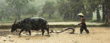 Can Other Effective Area-based Conservation Measures (OECMs) foster people-led conservation in India?
