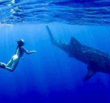 The Legacy of Bethany “Bee” Smith: A Voice for the Ocean’s Most Misunderstood