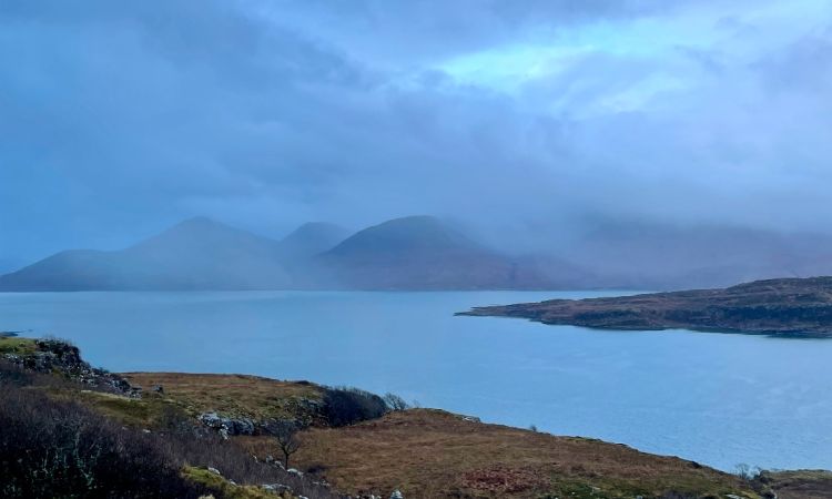 The Mind's Isle: Searching for the Flying Barn Door