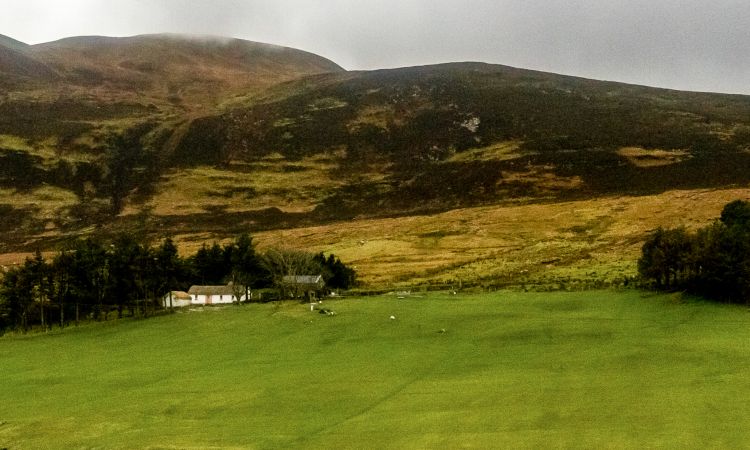 The Case for Rewilding Ireland: A Practical and Evidence Based Case for Returning Land to Nature.