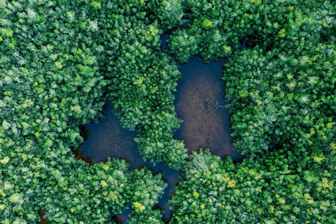 International Biodiversity Day Emphasises Local Action and Improved Research in Africa