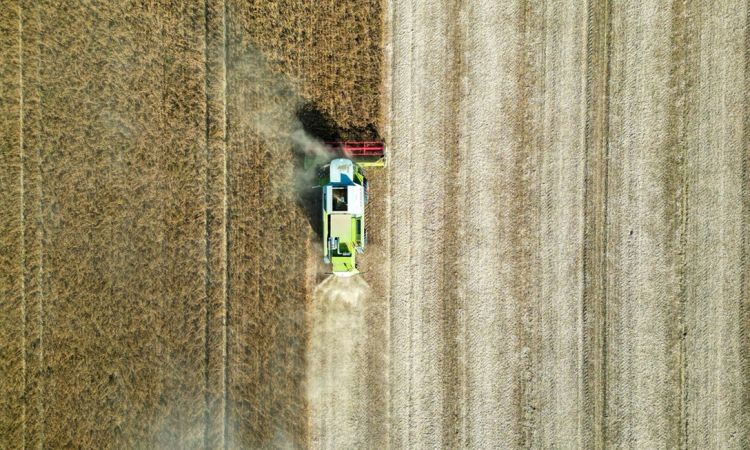 Foodprints on the Table for South African National Environment Month - Part 1