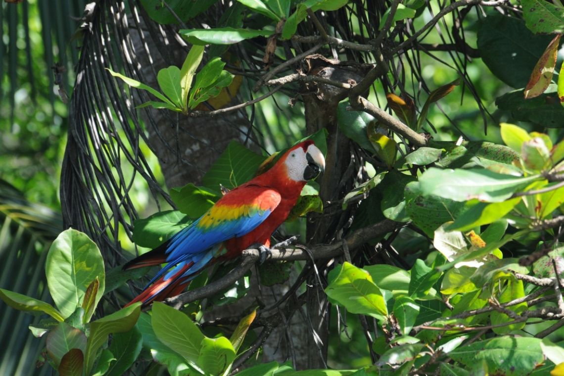 5 Ecotourism Destinations to Visit in 2026