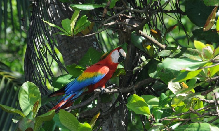 5 Ecotourism Destinations to Visit in 2026