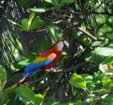 5 Ecotourism Destinations to Visit in 2026