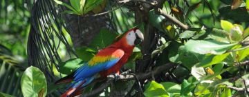5 Ecotourism Destinations to Visit in 2026