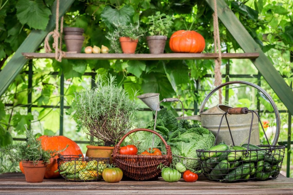 Beyond Labels: Understanding the Impact of Your Food’s Journey