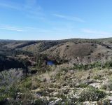 Women Who Keep the Wild Alive - Part One