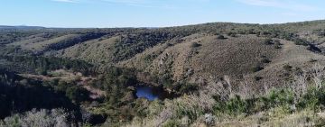 Women Who Keep the Wild Alive - Part One 