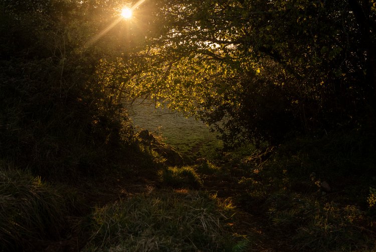 A beautiful sunset captured.