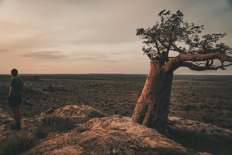 A thoughtful look towards the open lands