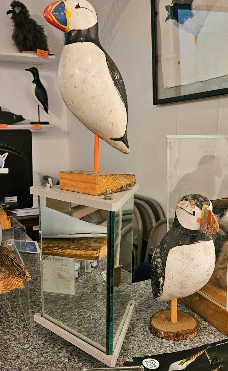 Decoys and mirrors used by Dr. Stephen Kress and his team displayed at Project Puffin, Rockland, Maine